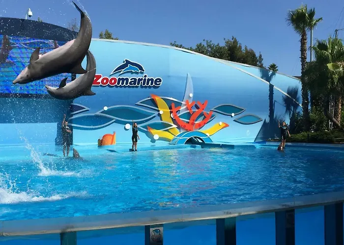 Daire 2m - Do Carvoeiro (Lagoa)